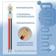 JST 2.0 mm PH 2-Pin Connector Cable Kit JST 2.0 mm PH 2-Pin Connector Cable Kit