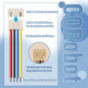 JST 2.54 mm XH SMD 4-Pin Connector Cable (15 Sets/45 Pieces)