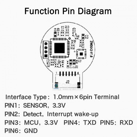Racket-Shape Capacitive Fingerprint Recognition Module