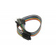 DuPont Male to Female Color Jumper Wires 18CM (10 Pack) DuPont Male to Female Color Jumper Wires 18CM (10 Pack)