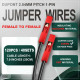 DuPont 2.54 mm 1-Pin Red Female-Female Connector 24AWG 20cm Silicone Cable (40 Sets / 120 Pcs) DuPont 2.54 mm 1-Pin Red Female-Female Connector 24AWG 20cm Silicone Cable (40 Sets / 120 Pcs)