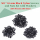 M2 * 10 mm Black Nylon Screws and Nuts Kit with Washers