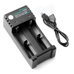 Lithium Battery Dual Slot with Removable Plug Cord